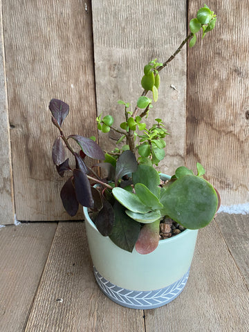 Mixed planter - small d